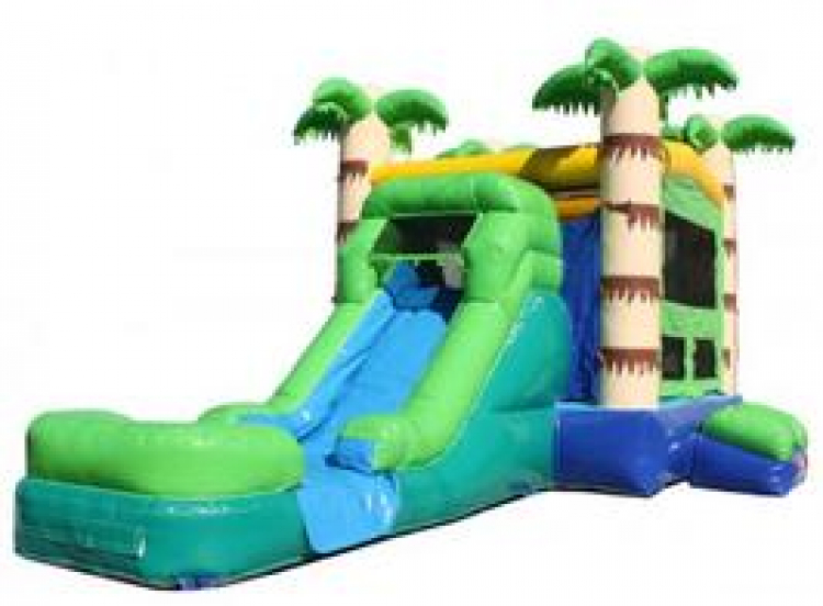 TROPICAL CASTLE WITH WATER SLIDE